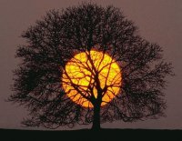 moon sunset
