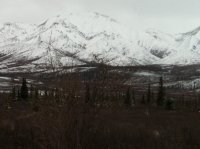 alaska