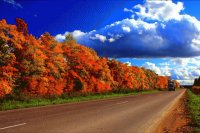 autumn-road