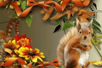 autumn-squirrel