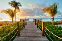 caribbean-wood