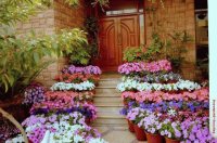jardines
