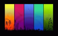 Arcoiris
