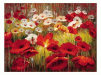 poppies