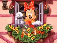 Disney   Co