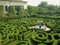 garden maze
