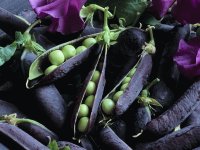 pea pods