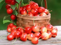 Sweet Cherry