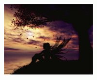 dreamer