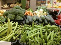 La belleza vegetal