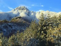 Montseny nevat, Catalunya