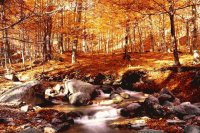 Montseny, Catalunya 2