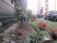 Balneário Camboriú/SC (Ed. Alzira Maria)