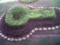 OPS GARDEN