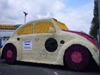 beetle