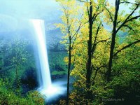 CACHOEIRA