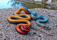 Serpiente