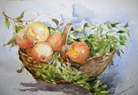 cesto di melograni