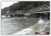 Balneário Camboriú (Praia de Laranjeiras)/SC