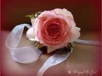 AROMA