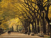 central park