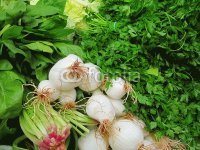 VERDURAS VERDES