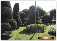 Paisagem
