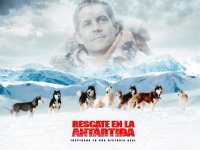 LOBOS