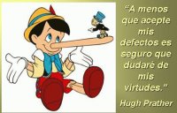 DEFECTOS VIRTUDES