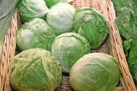 LECHUGA