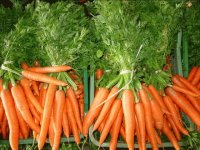 FRESCAS ZANAHORIAS