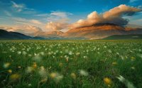 whispering wind
