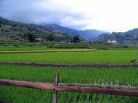 View Album