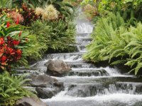 naturaleza