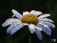 naturaleza