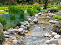 naturaleza