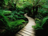 naturaleza