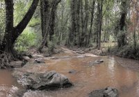 paisagem
