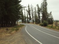 Camino a.........