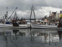 Fisherman's Wharf, Sydney