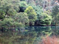 Platypus Pond