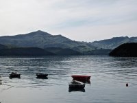 Akaroa Harbor, NZ