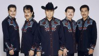 tigres