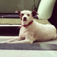 Nina linda