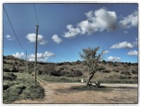 paisagem