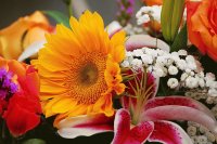 Bouquet