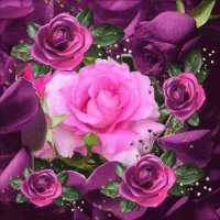 Rosas