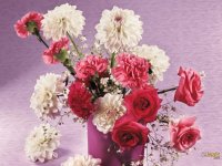 bouquet
