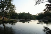 mother nature