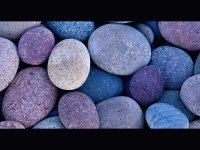Ca 020